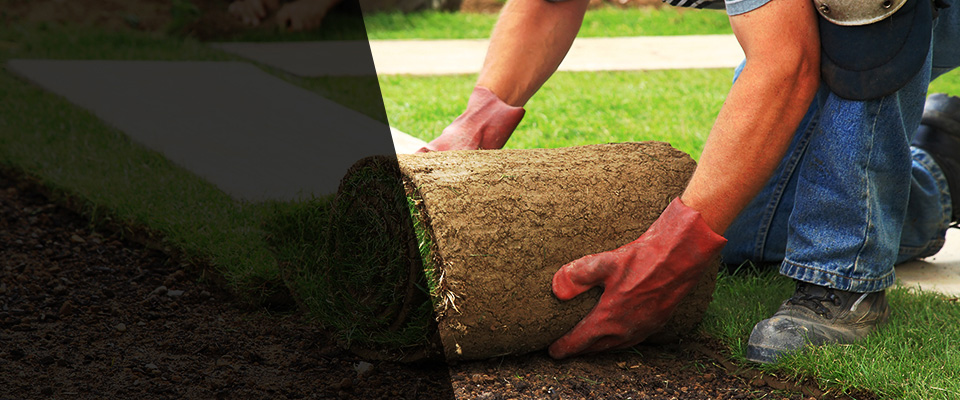 Glenwood City Landscapers